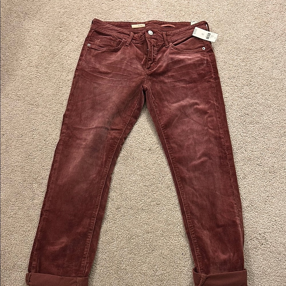 Pilcro Women's Corduroy Jeans in Deep Brown